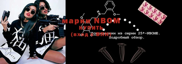 хмурый Алзамай