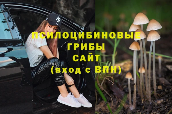 хмурый Алзамай