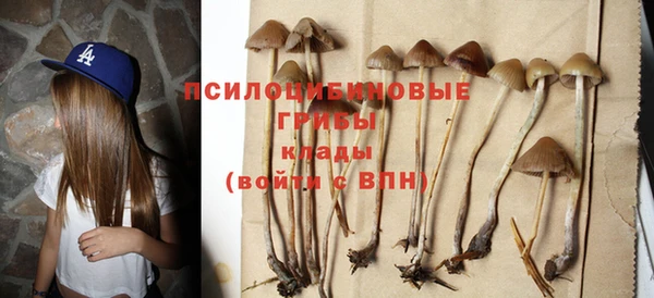 хмурый Алзамай
