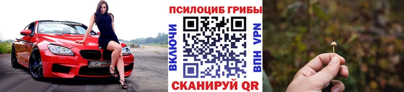 Псилоцибиновые грибы Psilocybine cubensis  Учалы 